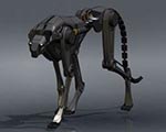 Animal-Inspired Robotics