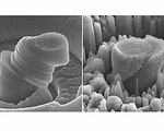 Nanotechnology Enables Super-Strong Magnesium